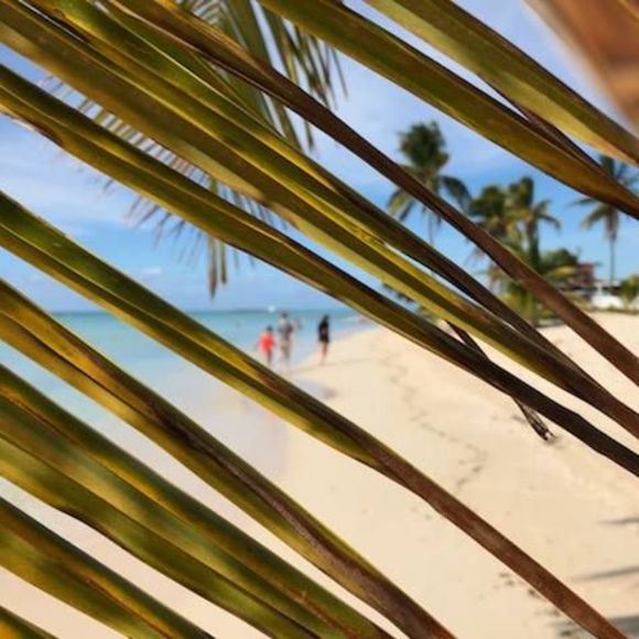 Meet your Posher, Lana - Picture 1 of 1